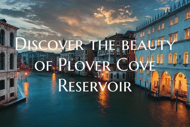 Discover the beauty of Plover Cove Reservoir