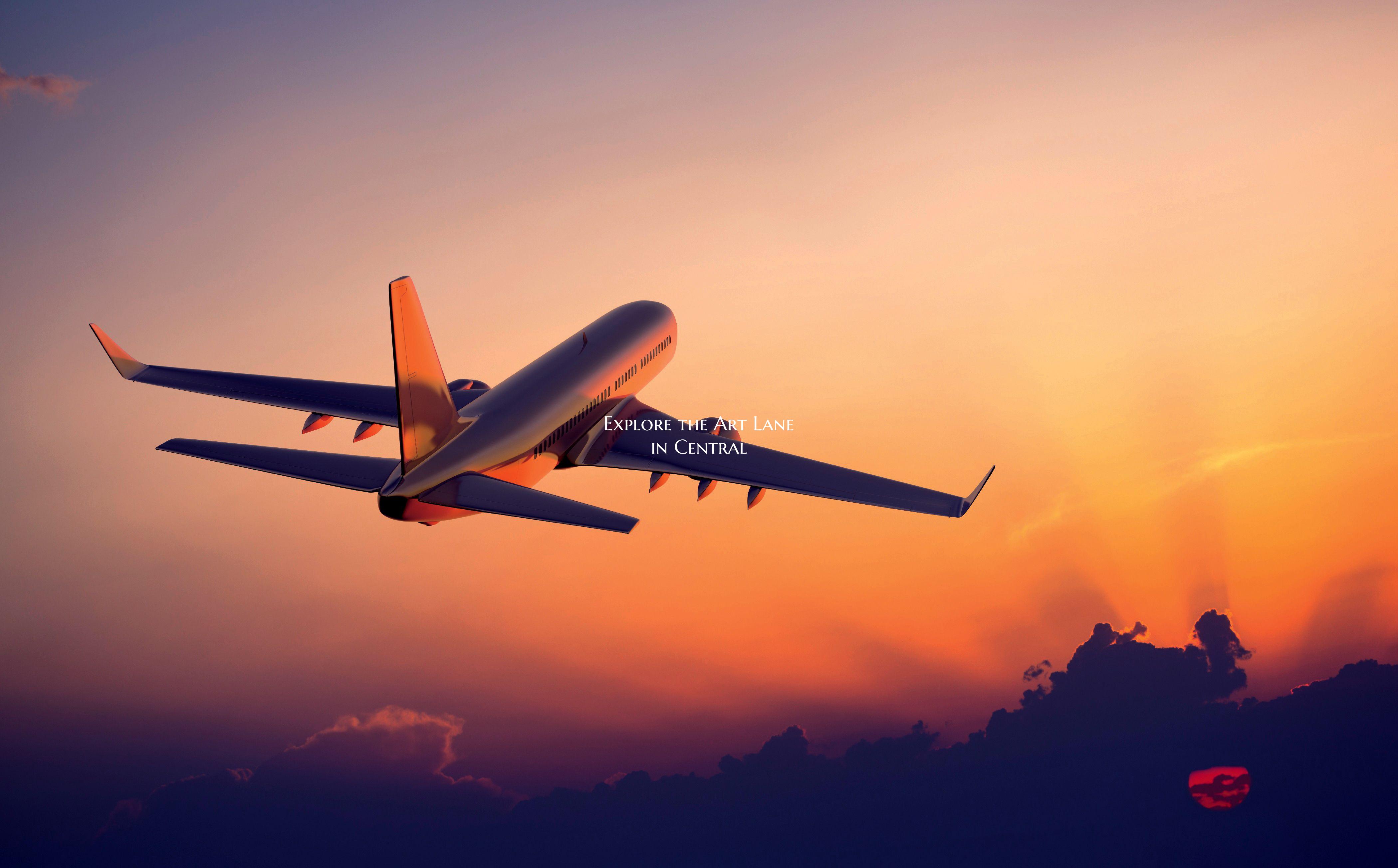 Explore the Art Lane in Central