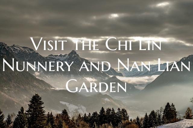 Visit the Chi Lin Nunnery and Nan Lian Garden